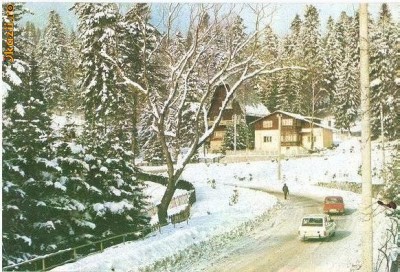 CP199-62 Sinaia. Vila ,,Albina&amp;quot; -carte postala, circulata 1984 -starea care se vede foto