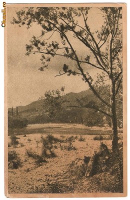 CPI(188) CALIMANESTI, VALEA OLTULUI, CIRCULATA, RPR foto