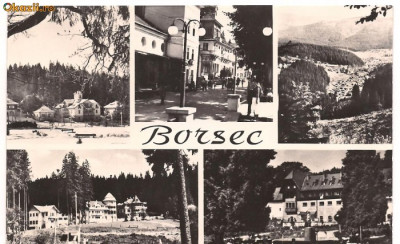 carte postala(ilusrata)-BORSEC foto