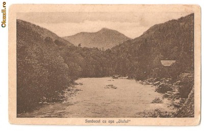 CPI (B227) JIU, SURDUCUL CU APA JIULUI, SCRISA SI NECIRCULATA, DATATA 1935. foto