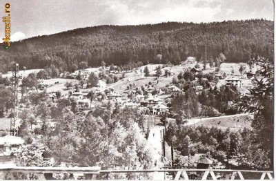 CP202-14 Poiana Tapului -Vedere spre Zamora -RPR -carte postala, circulata 1967 -starea care se vede foto