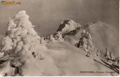 CP202-93 Postavarul -Creasta cocosului -RPR -carte postala, circulata 1961 -starea care se vede foto