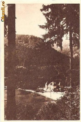 CP202-69 Tusnad -RPR -sepia -carte postala, circulata 1950 -starea care se vede foto