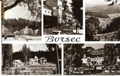 CP203-84 Borsec -carte postala, circulata 1968 -starea care se vede foto
