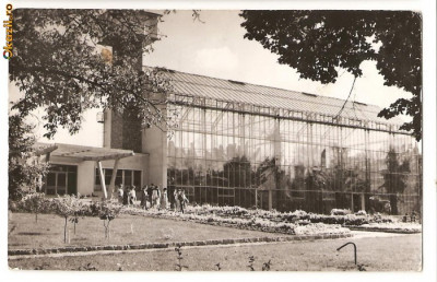 CPI (B313) CLUJ, GRADINA BOTANICA, SERA PLANTELOR EXOTICE, CIRCULATA, 1964 foto