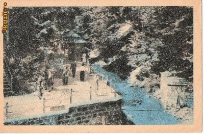 CP204-42 Promenada la izvoarele de cura -Slanic Moldova -carte postala, circulata 1958 -starea care se vede foto