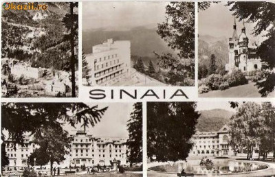 CP204-79 Sinaia -carte postala, circulata 1966 -starea care se vede foto