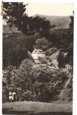carte postala(ilustrata)-Singeorz-Bai foto