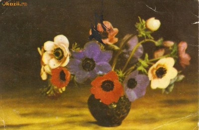 R 8888 Republica Populara Romana anemone circulata foto