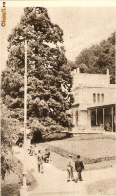 R 8901 Republica Populara Romana Baile Herculane vedere din parc necirculata foto