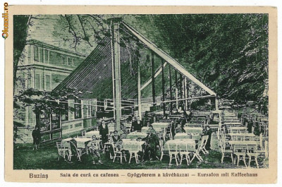 972 - BUZIAS, Cafeneaua din sala de cura, animata - old postcard - unused foto