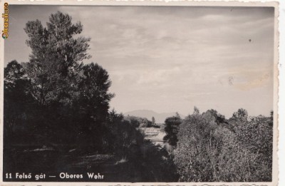 B25014 Bistrita foto