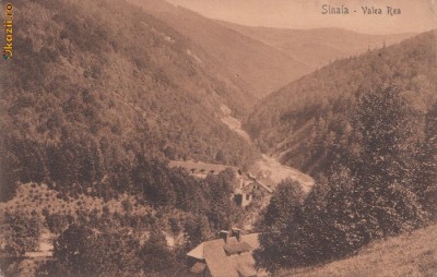B25056 Sinaia Valea Rea foto