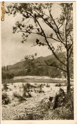 CP205-26 Calimanesti -Valea Oltului -RPR -carte postala, circulata 1955, la Barlad (com Draguseni) -starea care se vede foto
