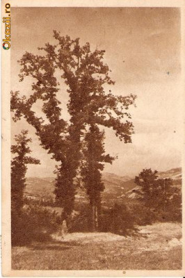 CP205-27 Geoagiu-Bai -Vedere -RPR -carte postala, circulata 1958 ? -starea care se vede foto