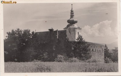 B25258 Sfantu Gheorghe foto