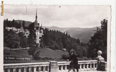 B25498 Sinaia Castelul Peles foto