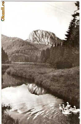 CP206-18 Lacul Rosu -Vedere spre Suhard -carte postala, circulata 1967 -starea care se vede foto