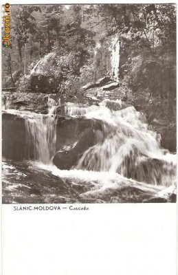 CP206-46 Slanic-Moldova -Cascada -RPR -carte postala circulata 1962 -starea care se vede foto