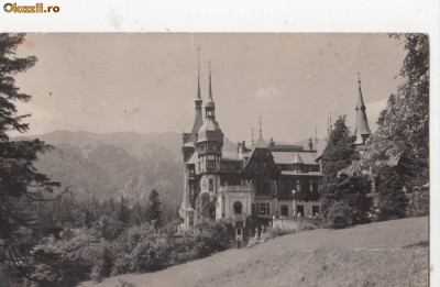 B25582 Sinaia Castelul Peles foto