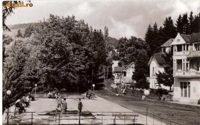 CP207-67 Sovata -Terasa bailor -RPR -carte postala necirculata -starea care se vede foto