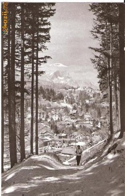 CP207-80 Sinaia -Vedere de pe Piscul Cainelui -RPR -carte postala necirculata -starea care se vede foto