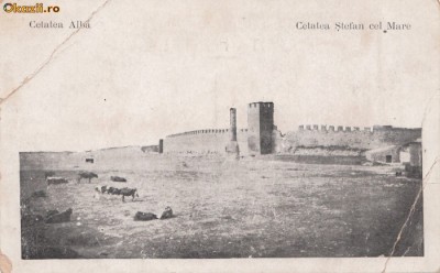 B23018 Cetatea Alba Cetatea Stefan Cel Mare foto