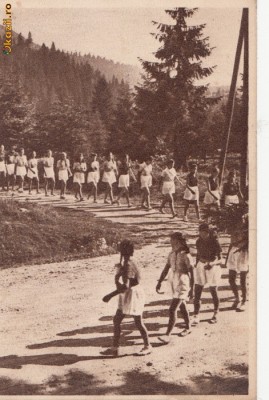 B14997 tusnad exercitii in aer Liber foto