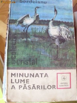 MINUNATA LUME A PASARILOR foto