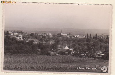 Teius : vedere generala (interbelica) foto