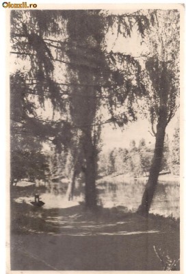 carte postala-CRAIOVA-Vedere din parc foto