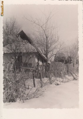 B33002 Muntele Solovan Maramures foto