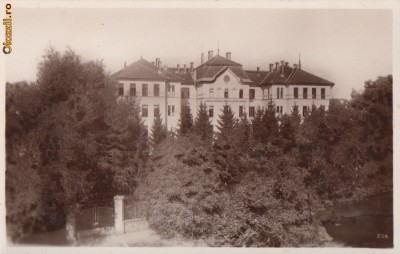 B33067 Restaurant Azuga foto