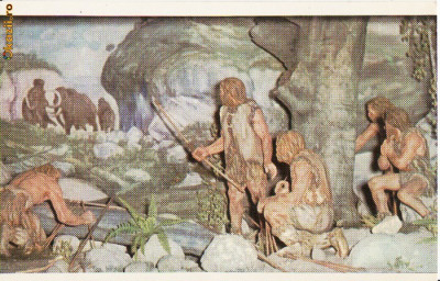 Omul de Neanderthal- Diorama - Vedere foto