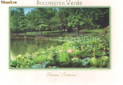 carte postala-Colectia-Bucurestiul verde *7* foto