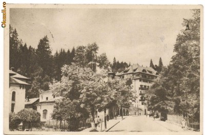 carte postala-SINAIA-vedere foto
