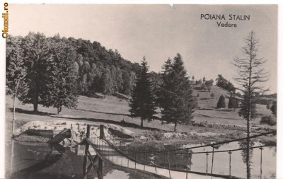 carte postala-POIANA STALIN-vedere foto