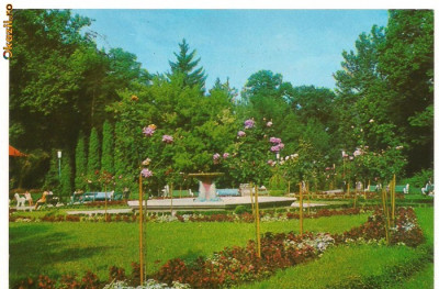 carte posta-BUZIAS-Vedere din parc foto