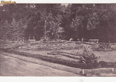 B30179 Baile Buzias Promenada Parcului foto