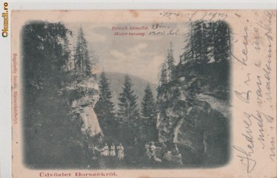 B33050 Borszek kornyeke Medve Barinag Borsec foto