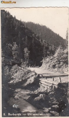 B28671 Romania Borberek Uti reszlet Vurpar foto