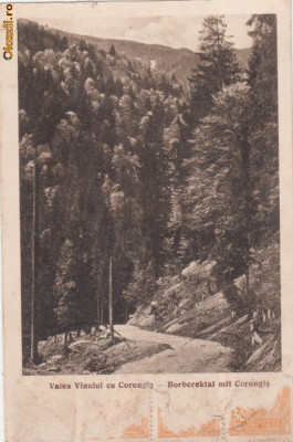 B28734 Romania Valea Vinului cu Corongis Borberektal mit Corongis foto