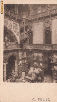 B27501 Castelul Peles Holul foto