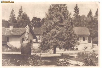 carte postala-BORSEC-vedere din parc foto