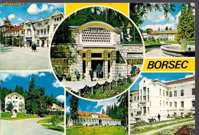 carte postala- BORSEC - Colaj foto