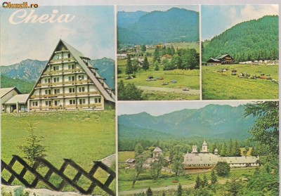 carte postala- CHEIA - Colaj foto