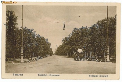 56 - BUCURESTI, Soseaua Kiseleff - old postcard - used - 1919 foto