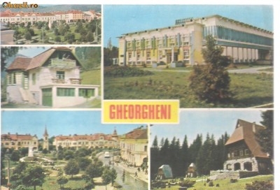 carte postala-GHEORGHENI - Colaj foto