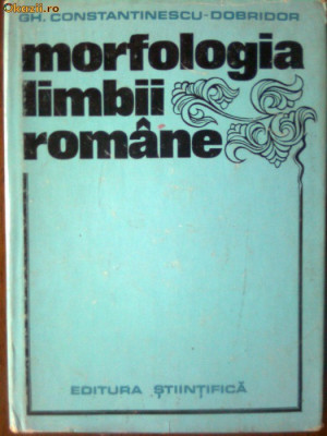 Morfologia limbii romane foto