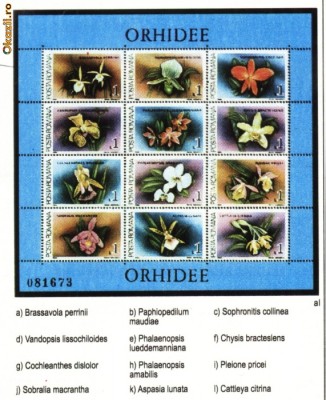 Orhidee, 2 blocuri dantelate de 12 marci,1988 foto